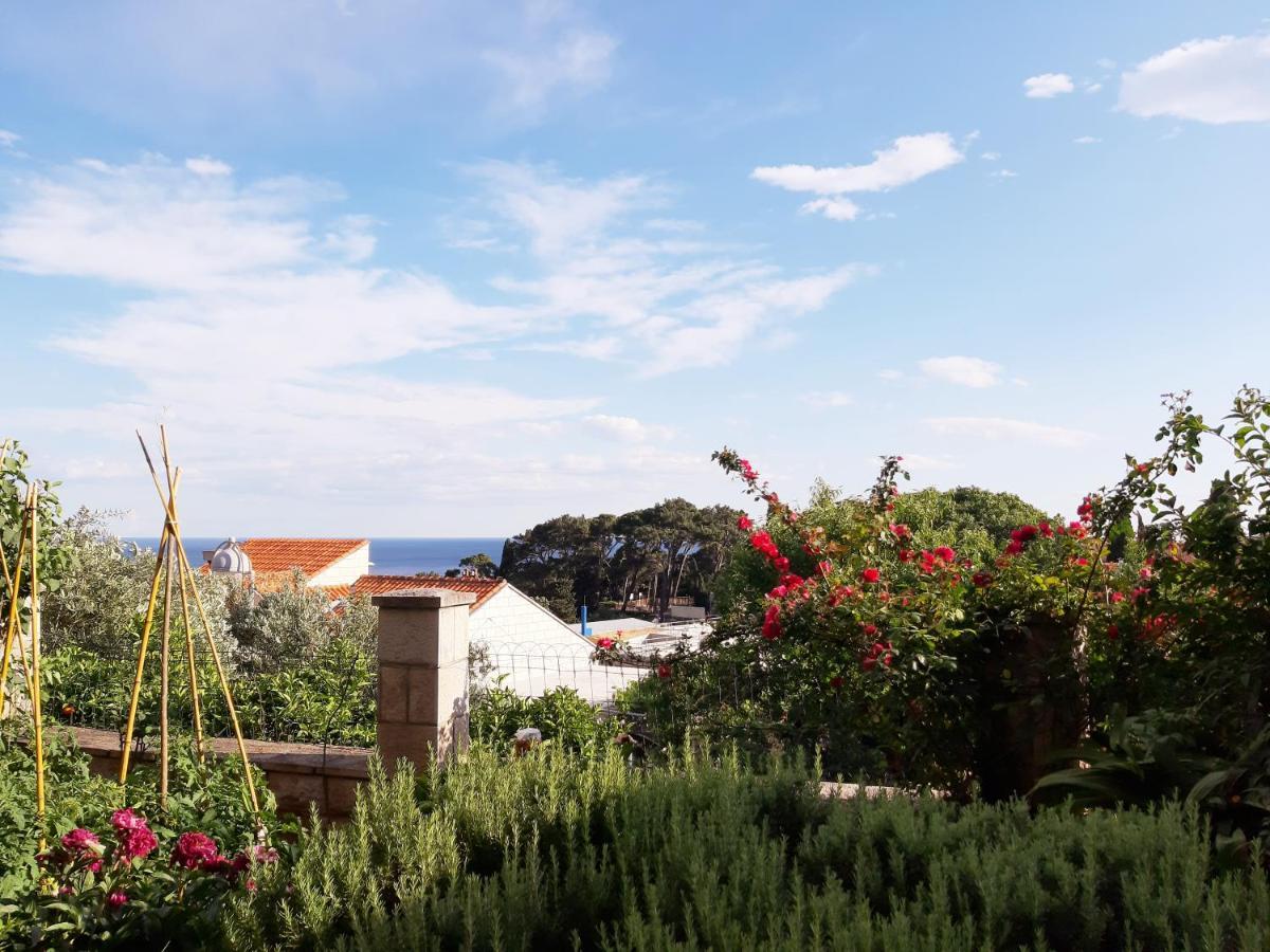 Apartments Deranja Dubrovnik Eksteriør billede